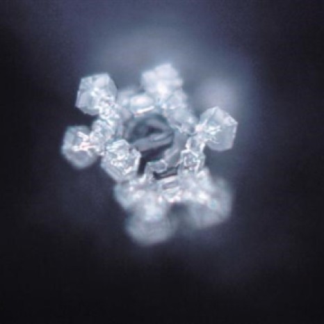 Despair Ice Crystal